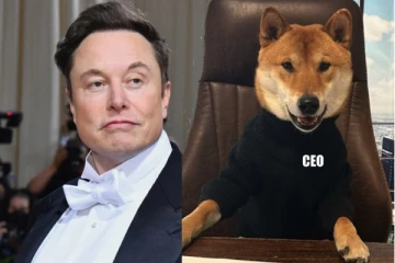 வளர்ப்பு நாயை ட்விட்டரின் தலைமை நிர்வாக அதிகாரியாக நியமித்த எலான் மஸ்க்!