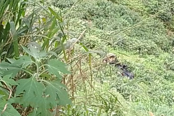 60 அடி பள்ளத்தில் கவிழ்ந்த தொழிற்சாலை வாகனம் | Factory Vehicle Overturned In A 60 Foot Ditch