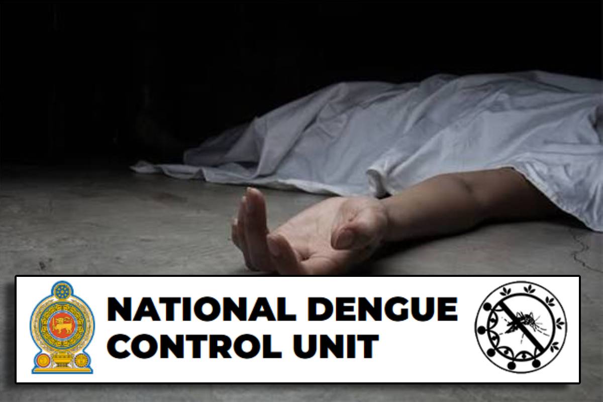 நாளுக்கு நாள் அதிகரிக்கும் டெங்கு நோயாளர்களின் எண்ணிக்கை! | Sl Dengue Patients Number Is Increasing Day By Day