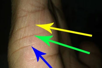 உங்கள் கைரேகை இப்படி இருக்கா? ஆணவத்தில ஆடாதிங்க... திருமண வாழ்க்கை தலைகீழா மாறப் போகுது?