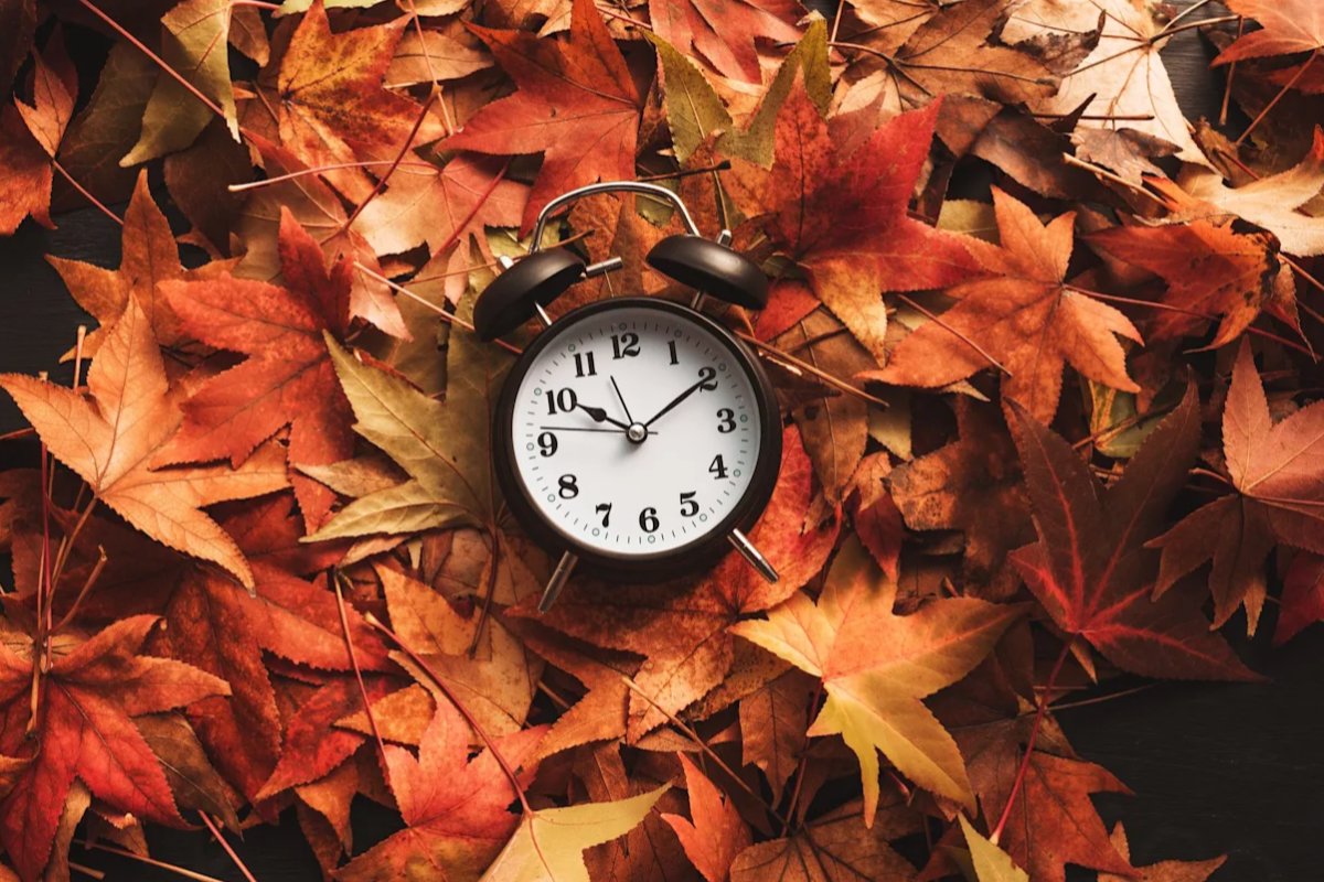 ஐரோப்பிய நாடுகளில் நாளை அதிகாலை கோடை கால நேரமாற்றம்! | Daylight Saving Time Begins Early Tomorrow Morning