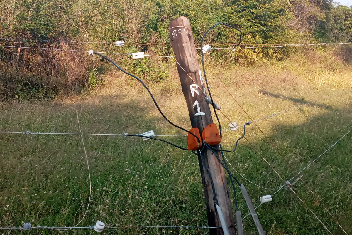 தமிழர் பகுதியொன்றில் சட்டவிரோத செயற்பாட்டால் பறிபோன உயிர் | Life Lost In Tamil Area Due To Illegal Activity தமிழர் பகுதியொன்றில் சட்டவிரோத செயற்பாட்டால் பறிபோன உயிர் | Life Lost In Tamil Area Due To Illegal Activity