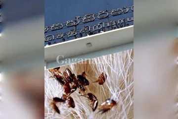 සෙත්සිරිපායට හදිසි ආක්‍රමණයක්..