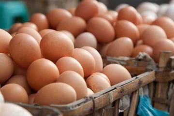 முட்டை இறக்குமதி தொடர்பான அறிவிப்பு