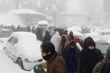 அமெரிக்க - கனடா எல்லையில் சடலமாக மீட்கப்பட்ட இந்திய குடும்பம்! காரணம் வெளியானது