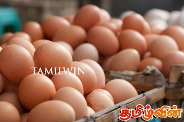 முட்டை விலையில் மீண்டும் மாற்றம்!