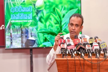 வடமாகாணத்தி்ல் இலங்கையின் இரண்டாவது தெங்கு முக்கோண வலயம்
