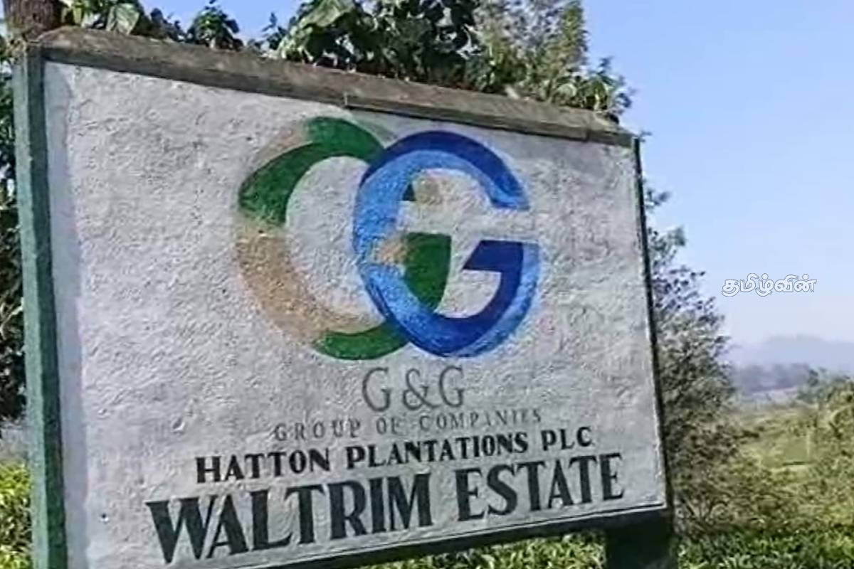 தோட்டத்தொழிலாளர்களின் தொடர் குடியிருப்பில் திடீர் தீ விபத்து | Fire Breaks Out In Plantation Workers Lindula