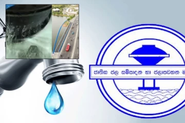 "ජල කාන්දුව සිදු වුණේ නලයේ ඇණ ගලවපු නිසා. - පොල්දූව පාලම ද කැඩි යාමේ අවදානමක් තිබුණා. "