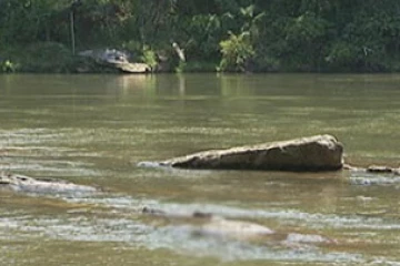 සිරුර පුරා තුවාල සහිත අභිරහස් පිරිමි මළ සිරුරක් කැලණි ගඟේ