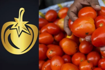 இதுக்கு ஒரு முடிவே இல்லையா கடவுளே..! இன்றைய தக்காளியின் விலை எவ்வளவு தெரியுமா?