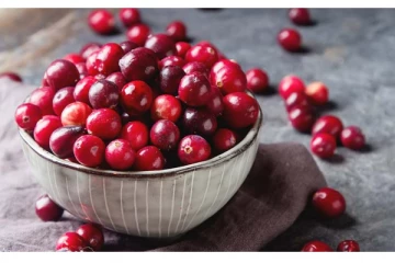 குருதி நெல்லி..இத்தனை நோய்களை குணப்படுத்துமா? மகத்தான தகவல்!