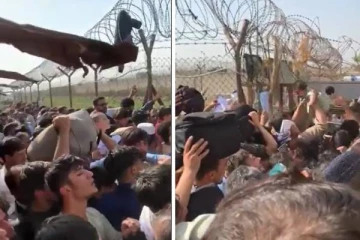 காபூல் விமான நிலையத்தில் ஆப்கானியர்களிடமிருந்து பிரித்தானியா வீரர்கள் பச்சிளம் குழந்தையை வாங்கியது ஏன்.. ஏதற்காக? உண்மை உடைத்த பாதுகாப்பு செயலாளர்