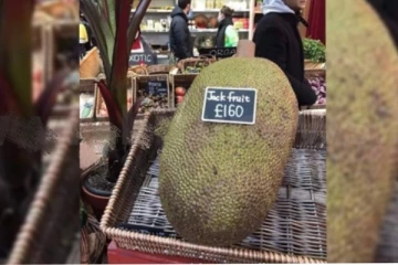 රුපියල් 45,000 ඉක්මවූ කොස් ගෙඩිය.. කොස් තියෙන අයට සුපිරි අවස්ථාවක්!!(PHOTO)