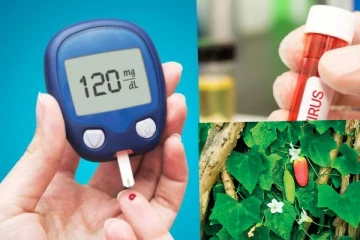 දියවැඩියාව ඇති නැති හැමෝම බලන්න.. විශ්මිත නව ඔසුවක් ශ්‍රී ලංකාවේ නිපදවයි(PHOTOS)..