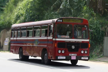 இரு தினங்களில் 15 பேருந்து சாரதிகள் கைது