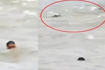 ஆற்றில் மூழ்கிய சிறுவன்..சுற்றிவளைத்த முதலைகள் - பதைபதைக்க வைக்கும் வீடியோ!