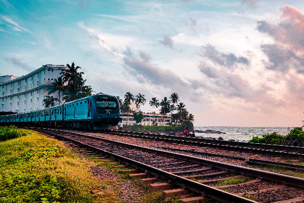 முடங்கியது புகையிரத சேவைகள் | Train Services Were Suspended