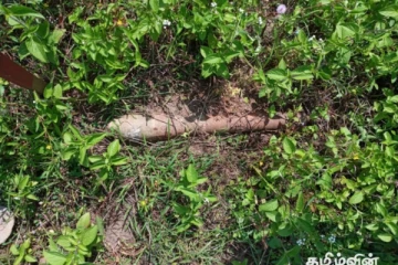 கனகராயன்குளத்திலிருந்து செல் மீட்பு