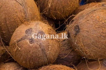 පොල් මිල ගැනත් තීරණයක්.