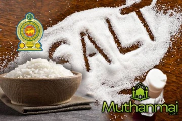 உப்பு இறக்குமதி தொடர்பில் அரசாங்கம் எடுத்துள்ள நடவடிக்கை