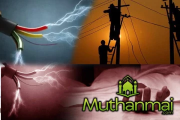 மன்னாரில் மின்சாரம் தாக்கி மூவர் உயிரிழப்பு