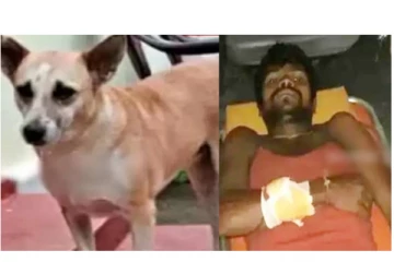 கரடியிடம் சிக்கிக் கொண்ட எஜமானரை தன் உயிரை பணையம் வைத்து காப்பாற்றிய நாய் - நெகிழ்ச்சி சம்பவம்