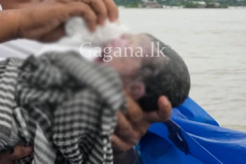 යාපනයේ මුහුද මැද ඊයේ ඉපදුනු බිළිදා " කඩල් කුමරන් "