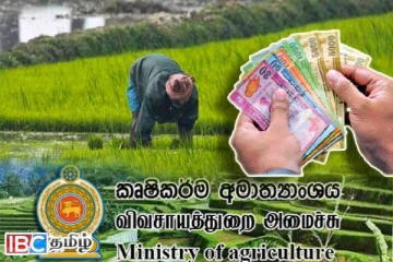 விவசாயிகளுக்கு கொடுப்பனவு : இராஜாங்க அமைச்சர் வெளியிட்ட அறிவிப்பு