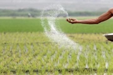 பொதுமக்களை ஏமாற்றிய விவசாயிக்கு நேர்ந்த கதி