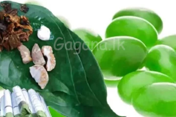 හැපුව කාලේ ඉවරයි ඔන්න දැන් සූප්පු කරන්න කාලේ හරි අලුතින් ආ බුලත් ටොෆිය.