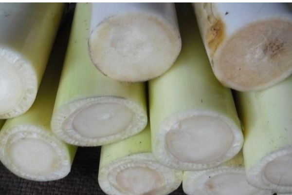 சர்க்கரைநோய் முதல் சிறுநீரகக் கற்கள் வரை அனைத்துக்கும் வாழைத்தண்டு சாறு...எப்படி பருக வேண்டும்? | Benefits Of Drinking Banana Juice