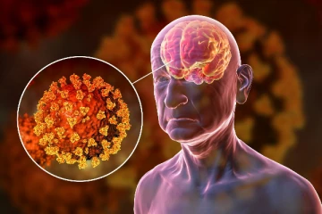 ஒட்டுண்ணிகள் மூலம் மனித மூளையைப் பாதிக்கும் புதிய வைரஸ்