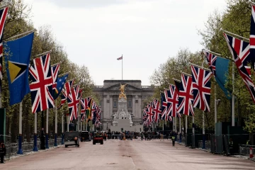 பக்கிங்ஹாம் அரண்மனை வாசலில் தோட்டாக்களை வீசி எறிந்த நபர்: தீவிரமடையும் கண்காணிப்பு