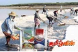 இந்தியாவில் இறக்குமதி செய்யப்படும் உப்பை பாவிப்பதில் அவதானம் தேவை