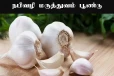 நபிவழி மருத்துவம் பூண்டு