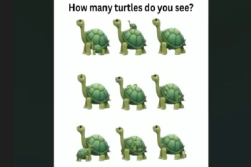 Optical illusion: கண்பார்வையை சோதிக்கலாம்...இதில் எத்தனை ஆமைகள் உள்ளது?