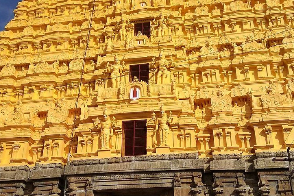 பெருமாள் பக்தரா நீங்கள்? இதோ உங்களுக்கான அற்புத வாய்ப்பு | 2025 Puratasi Month Tnhrce News In Tamil