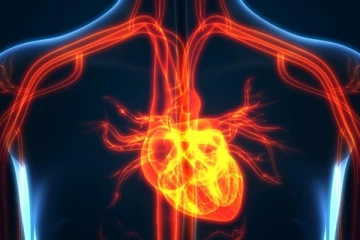 இதய வால்வு கசிந்தால் உயிருக்கு ஆபத்து...உடனே என்ன செய்ய வேண்டும் தெரியுமா?