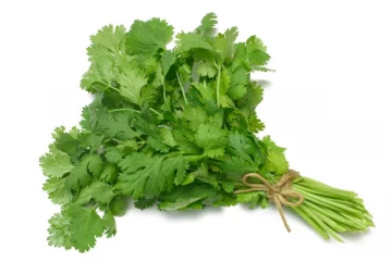 கொத்தமல்லித் தண்டுகளை இனி தூக்கி வீசாதீங்க.. இந்த நோய் எல்லாம் தீர்க்கும் அற்புத சக்தி படைத்ததாம்