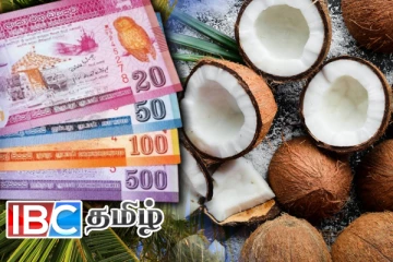 தேங்காய் விலையில் மாற்றம் : வெளியான தகவல்