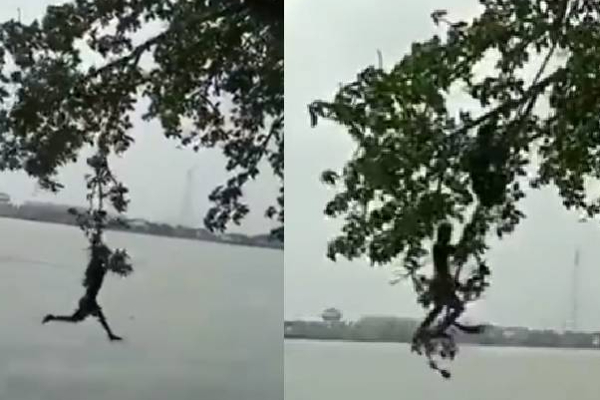 குரங்கையே யோசிக்க வச்சுட்டாங்களே! அடேய் இந்த மனுஷங்க நம்மள மிஞ்சிடுவான்க போல | Viral Monkey Video Funny Video