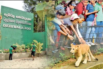 தெஹிவளை தேசிய மிருகக்காட்சிசாலைக்கு செல்வோருக்கு கிடைத்துள்ள வாய்ப்பு