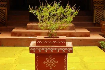 துளசி விதைகளில் இத்தனை நன்மைகளா!