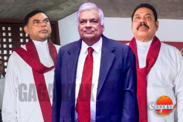 ඩොලර් මිලියන 110 ක කිරි ගව ආනයනයට මහින්ද , මෛත්‍රී , රනිල් , බැසිල් සම්බන්ධයි