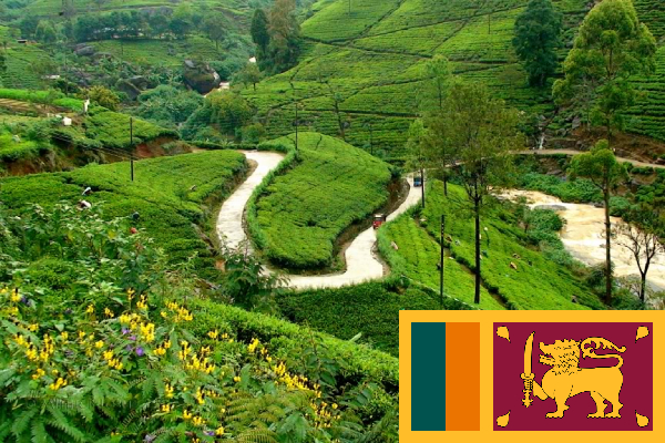 indians in srilanka