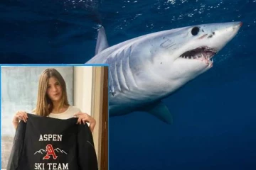 கடற்பகுதியில் விளையாடிக் கொண்டிருந்த சிறுமிக்கு சுறா மீனால் காத்திருந்த அதிர்ச்சி!