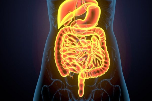 காலையில் வெறும் வயிற்றில் ஏலக்காய் சாப்பிடுவதால் என்னென்ன நன்மைகள் கிடைக்கும் தெரியுமா? | Every Morning Eat Cardamom Benefits Available காலையில் வெறும் வயிற்றில் ஏலக்காய் சாப்பிடுவதால் என்னென்ன நன்மைகள் கிடைக்கும் தெரியுமா? | Every Morning Eat Cardamom Benefits Available