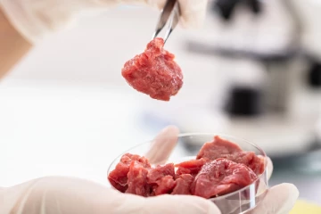 செயற்கை கோழி இறைச்சி விற்பனைக்கு அனுமதி - கொழுப்பு, எலும்பு கிடையாதாம்!