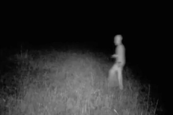 நிர்வாண உடலுடன் கமெராவில் சிக்கியது ஏலியனா? திகிலூட்டும் காட்சிகள் | Usa Man Snaps Naked Alien